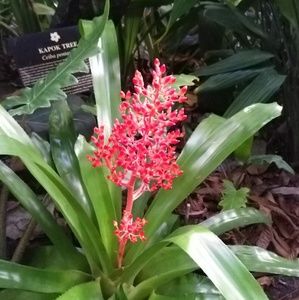 Meet your Posher, Leena